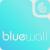 © Bluewall logo